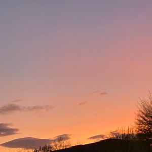 Meet your Posher, Idalis